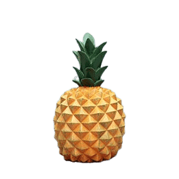 Sparbössa Med Ananas