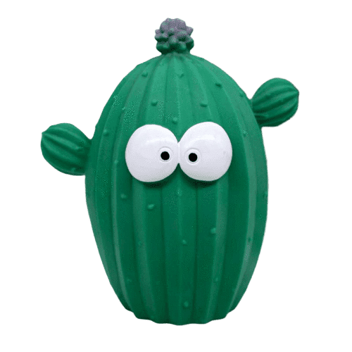 Sparbössa Med Kaktus