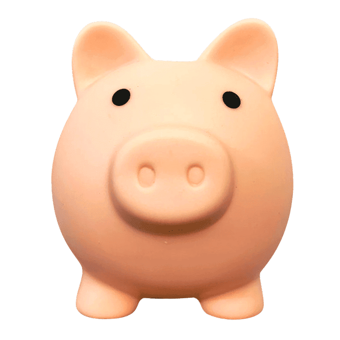 Animal Crossing Sparbössa