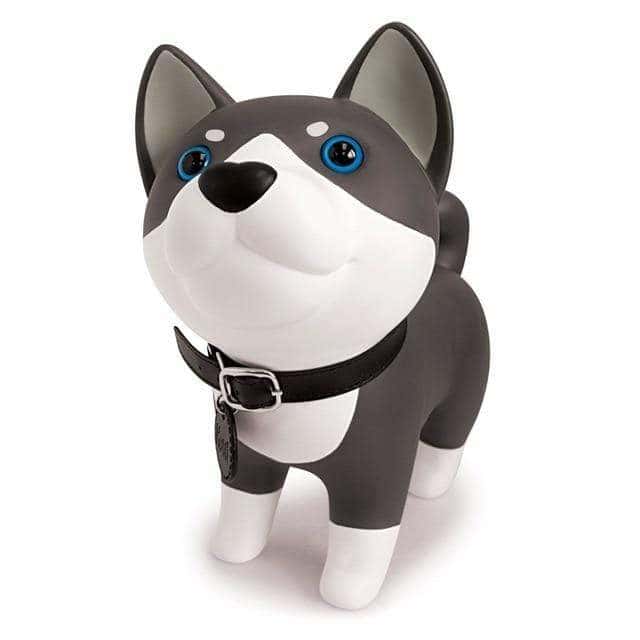 Penningbox För Husky