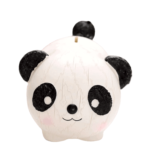 Sparbössa I Plast Med Panda